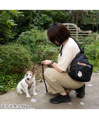 PET PARADISE スヌーピー 75周年 お散歩ショルダー 75周年柄