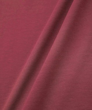 Green Parks ・ｓｗｉｎｇ　ｂｙ　シルケットオーバーサイズＴＥＥ Bordeaux