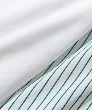 23区 【CLASSY.5月号掲載/洗える】CANCLINI ベーシック シャツ ホワイト×グリーンストライプ