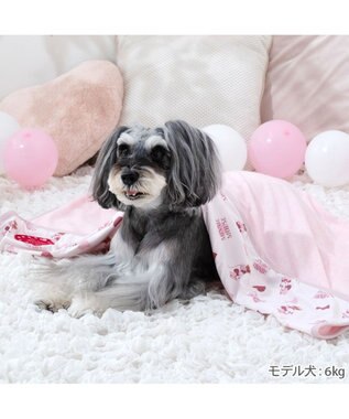 PET PARADISE ディズニー ミニーマウス クール ブランケット 《ハート柄》 ホワイト×ピンク