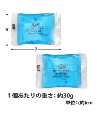 PET PARADISE ペットパラダイス ポケット 保冷剤 【大】30ｇ×2個セット 青