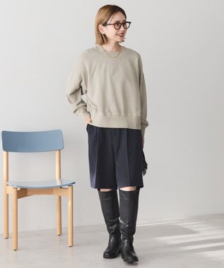 AMERICAN HOLIC ピグメント裏毛プルオーバー Gray Beige