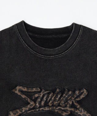 WEGO 【ユニセックス着用ITEM//MLサイズ展開】接触冷感グラフィックBIG　T（SS） ブラックその他
