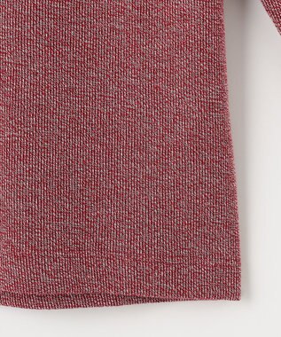 JOSEPH ABBOUD 【WEB/一部店舗限定】人気 杢糸ジャージ ハーフジップカットソー レッド系