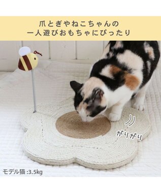 PET PARADISE ペットパラダイス 猫 爪とぎ プレート 花《白》 白