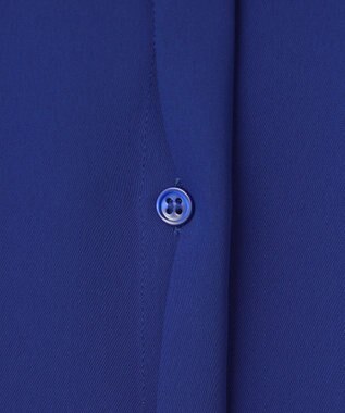 ICB L 【UVカット・接触冷感・防シワ・洗える】エステルダブルクロス ハンカチーフスリーブブラウス ロイヤルブルー系