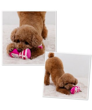 PET PARADISE ディズニー チェシャ猫 ロープトイ チェシャ猫