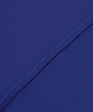 ICB L 【UVカット・接触冷感・防シワ・洗える】エステルダブルクロス ハンカチーフスリーブブラウス ロイヤルブルー系