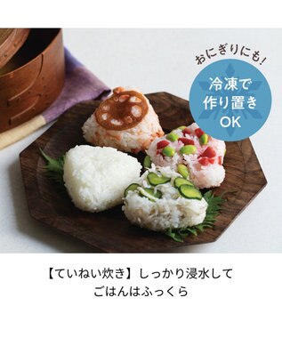 YAMATO テーブル＆キッチン 【レコルト】クッキングライスクッカー  グレー  RCR-2(GY) グレー