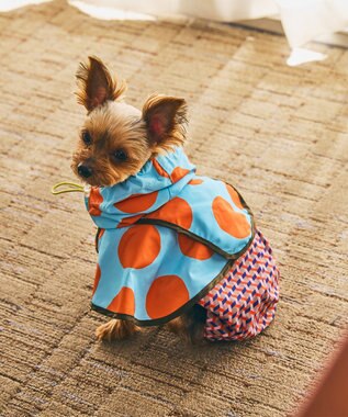 COQ DOTS CROSS ドッグポンチョ レインコート スカイブルー