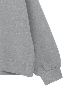 AMERICAN HOLIC 【WEB限定】サイドスリットポンチプルオーバー Gray Mixture