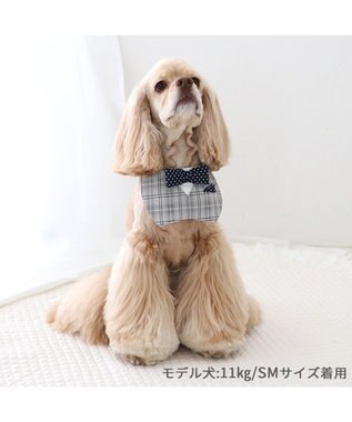 PET PARADISE ペットパラダイス 蝶ネクタイ スタイ 《チェック柄》 中型犬 大型犬 チェック柄