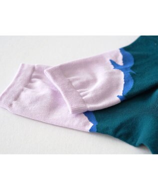 nitorito 【UNISEX】米沢オリジナル柄 tori 靴下 green