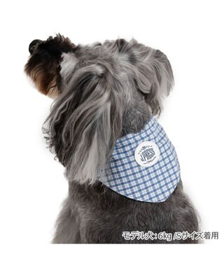 PET PARADISE J.PRESS クールバンダナ 小型犬 ホワイト×ネイビー