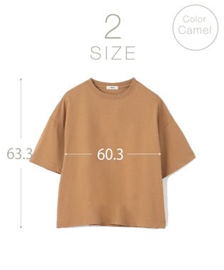 NAVE 【ReNAVE・洗える/接触冷感/UVケア】ファンクションＴシャツ キャメル系