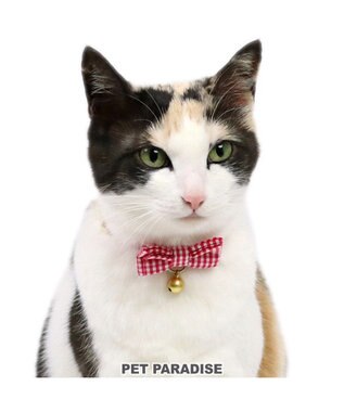 PET PARADISE ペットパラダイス 猫 首輪 ギンガムチェック 《レッド》 小サイズ/中サイズ