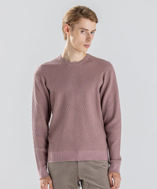  【新柄】 ヴィスコースリンクス　クルーネックニット