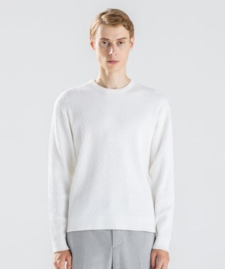 JOSEPH HOMME 【新柄】 ヴィスコースリンクス　クルーネックニット ホワイト系