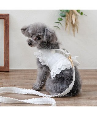 PET PARADISE ペットパラダイス レースフリル リード ４Ｓ～３Ｓ ホワイト