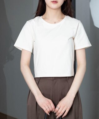 WEGO 【7色/SMLサイズ展開】コンパクトフィットT オフホワイト