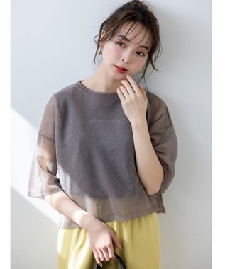 ANY SIS L 【洗える】シアー ニットT モカ