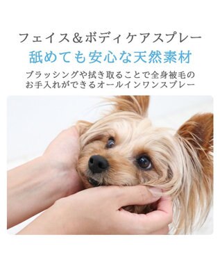 PET PARADISE ペットパラダイス フェイス＆ボディケアスプレー 白～オフホワイト
