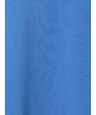 Te chichi 裏毛ロゴプルオーバー ブルー