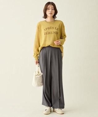 ANY ２連チョーカーネックレス シルバー