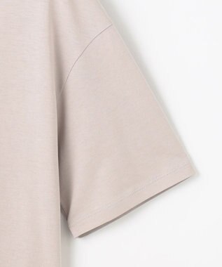 J.PRESS LADIES L 【WEB限定】シアーレイヤード ツイン カットソー 【WEB限定】グレージュ系