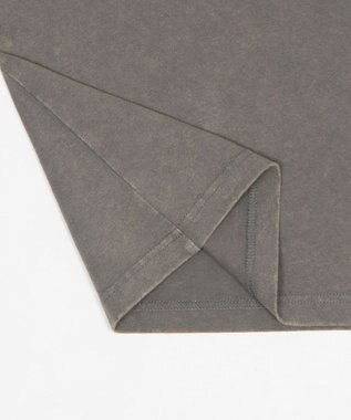 WEGO 【ユニセックス着用ITEM/MLサイズ展開】ブリーチダメージアップリケT（SS） グレー