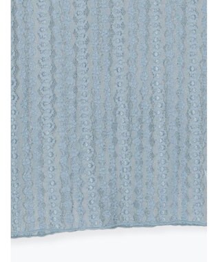 Te chichi ストレッチレーストップス《2026 spring catalog item》 サックスブルー