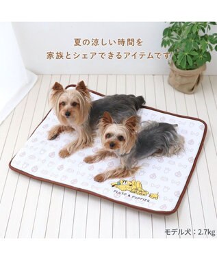 PET PARADISE ディズニー ミッキーマウス もちっとクールマット 防臭 0