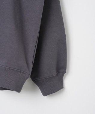 WEGO 【ユニセックス着用ITEM】別注GARFIELDプルオーバー 柄2