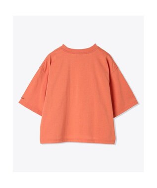 Columbia Columbia/ ウィメンズサンダーマウンテンショートスリーブTシャツ /コロンビア Tuscan