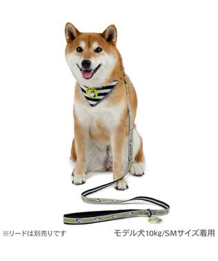 PET PARADISE スヌーピー ＪOE COOL 反射首輪 リバーシブル仕様 Ｍ ホワイト×グレー