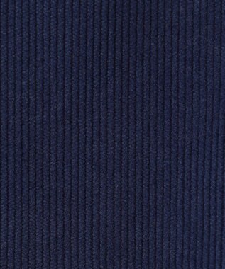 23区GOLF 【WOMEN】【EC限定】コーデュロイスカート ネイビー系