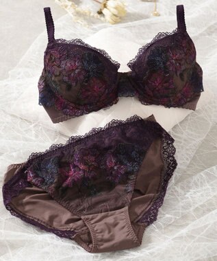 Wing Wing Lesiage　【2760シリーズ】　ブラジャー　ふっくらまる胸　カップ肌側綿混素材　ウイング／ワコール　PB2760 ブラウン