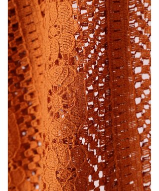 Green Parks レースブラウス Brown