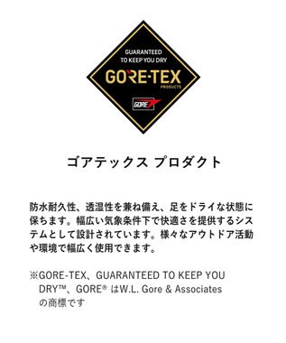 【リーガルレディース】F27N ジョッパーブーツ（GORE-TEX フットウェア）, ブラック, 225 (22.5cm)