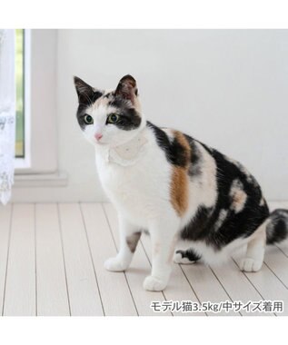 PET PARADISE ペットパラダイス 猫首輪  お花襟付き  S / M ベージュ