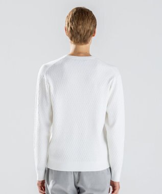 JOSEPH HOMME 【新柄】 ヴィスコースリンクス　クルーネックニット ホワイト系