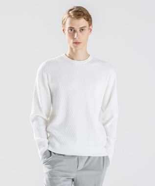 JOSEPH HOMME 【新柄】 ヴィスコースリンクス　クルーネックニット ホワイト系