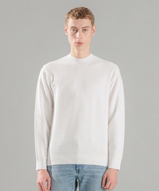 JOSEPH HOMME 新型【洗える】ヴィスコースリンクス　モックネックニット ホワイト系