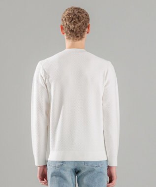 JOSEPH HOMME 新型【洗える】ヴィスコースリンクス　モックネックニット ホワイト系