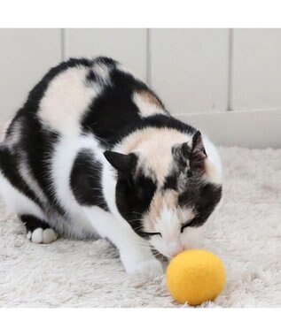 PET PARADISE ペットパラダイス 猫 羊毛 ボール 【単品】 マスタード