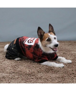 PET PARADISE Lee タイダイ つなぎパンツ  小型犬 0