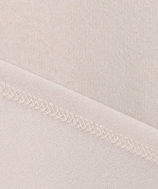 J.PRESS LADIES L 【WEB限定】シアーレイヤード ツイン カットソー 【WEB限定】グレージュ系