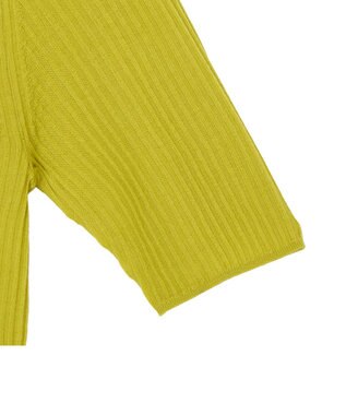 JOSEPH 【洗える】メリノリブ　ニットTEE Ginkgo