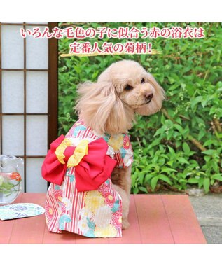 ペットパラダイス 浴衣 《菊柄》 小型犬 / PET PARADISE | ファッション通販 【公式通販】オンワード・クローゼット