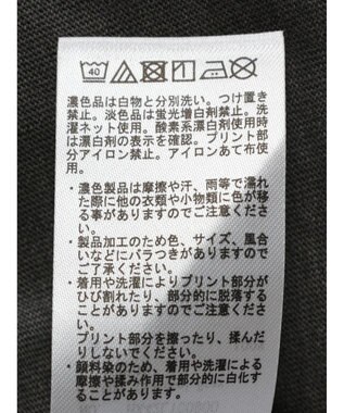 AMERICAN HOLIC フロッキーＰｔフェード加工Ｔ／Ｄｕｍｂｏ Charcoal Gray